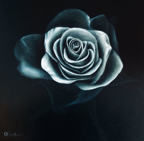 Rose noir van Angeles Ollarburo, Schilderij te koop op Singulart