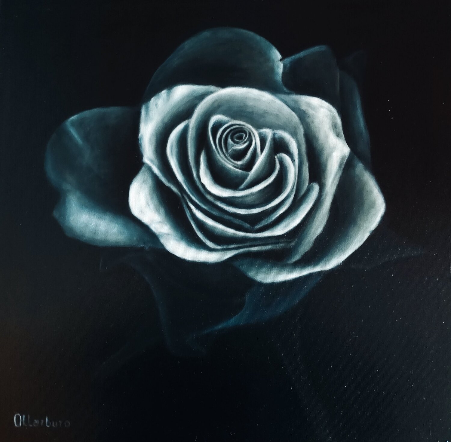 Rose noir Angeles Ollarburo