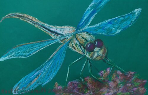 Dragonfly by Svetlana Ivanova, Work on Paper for Sale on Singulart
