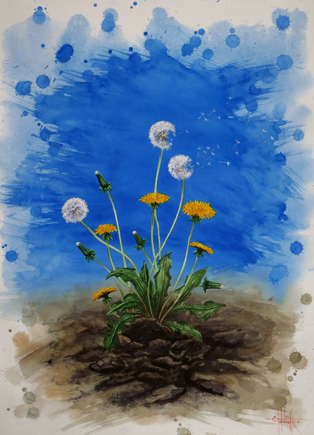 Dandelions Eugene Gorbachenko