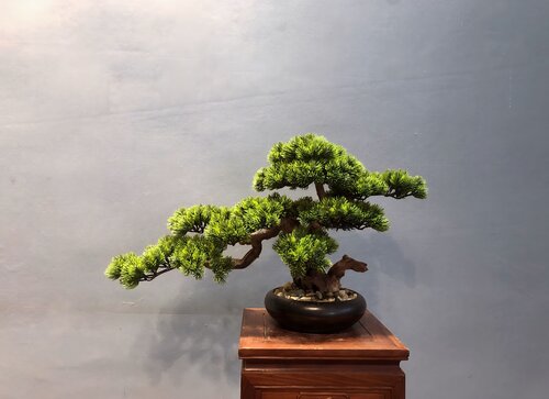 VICKY YAO Fine Bonsai - Realistic Hotel Style Bonsai Tree Art with Marble Base Real Preserved Moss L90 x W32 x H62cm by VICKY YAO, Other Media for Sale on Singulart