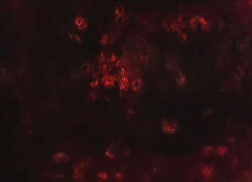 Falling petals by Bongeun Koo, Painting for Sale on Singulart