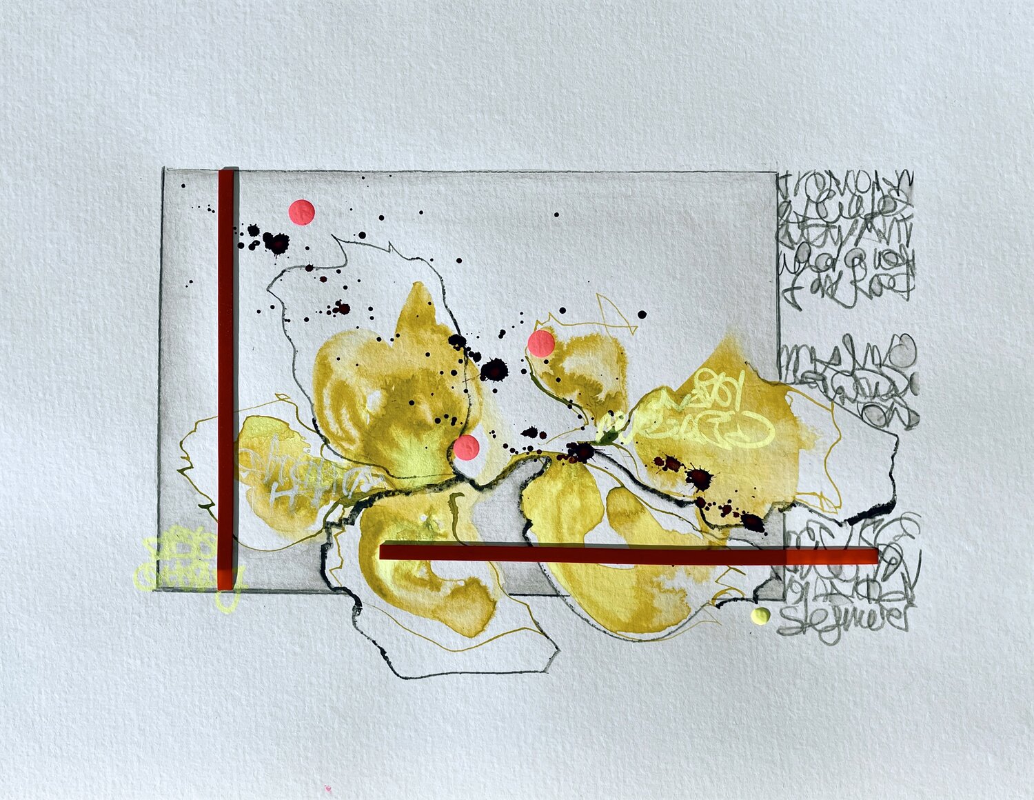 Continuity Katharina Stegmeier