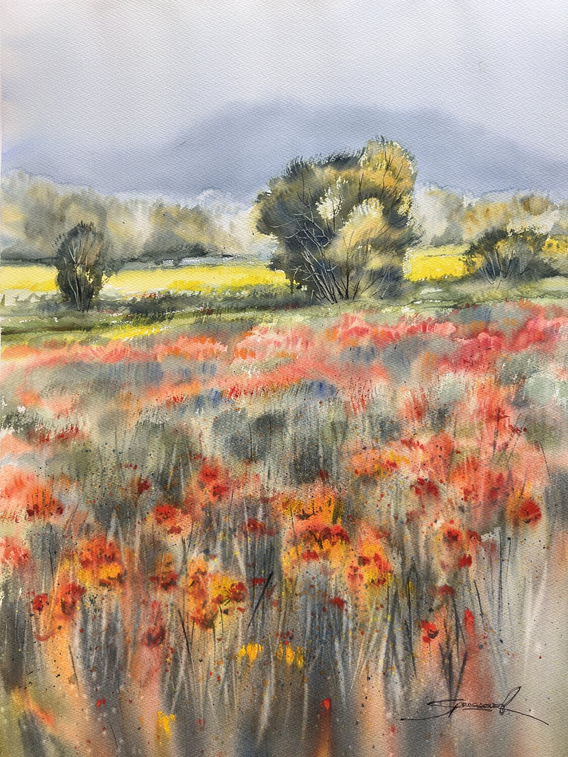 Mar de amapolas rojas Yaroslav Belonogov