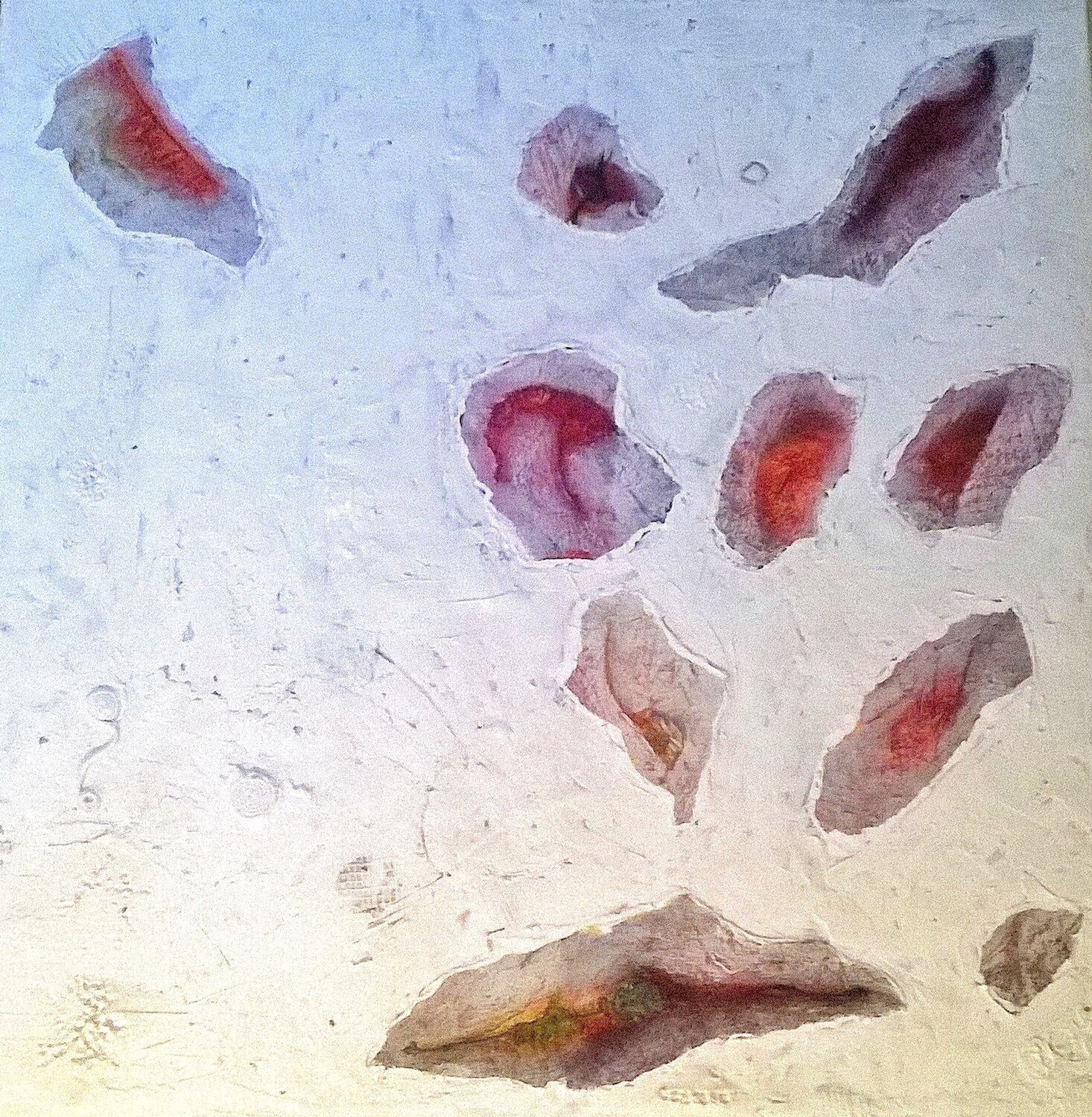 RICORDI FOSSILI Daniela Antonello Antonello