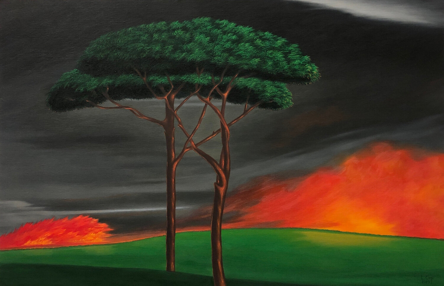 EMBRASEMENTS ( Kindling ) LEONORA CARPI