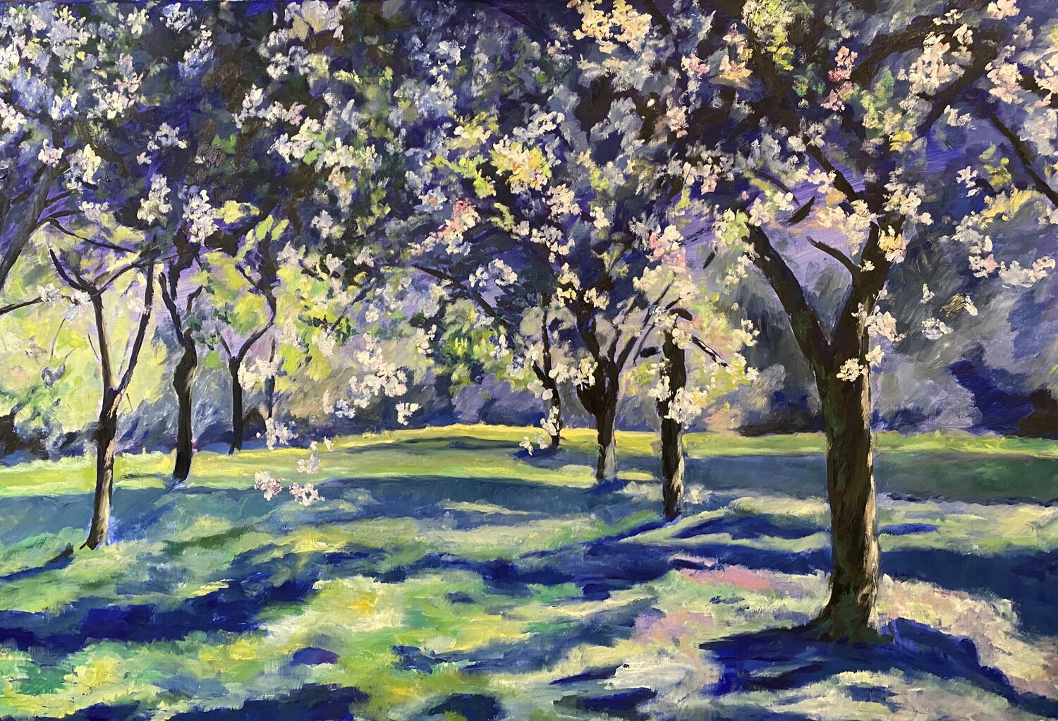 Le ciel en fleurs Marie Rose Clergeau