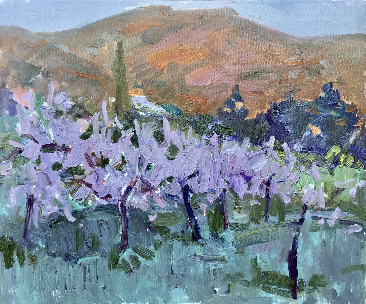 ALMENDROS Andrey Khodakov