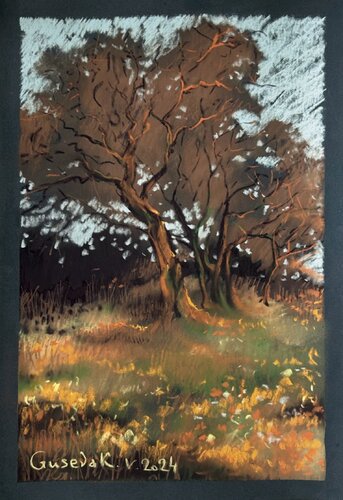 Bending Tree di Kateryna Husieva, Disegno in vendita su Singulart