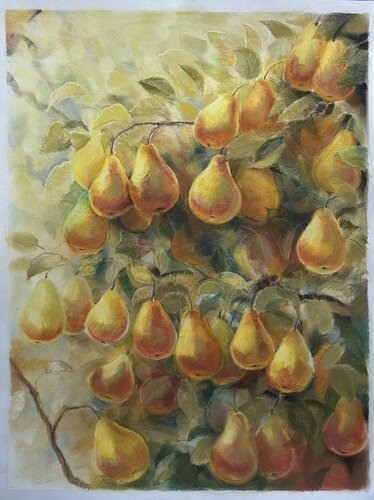 Lots of pears by Kateryna Husieva, Drawing for Sale on Singulart