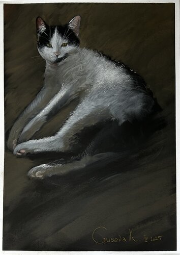 Domestic cat by Kateryna Husieva, Drawing for Sale on Singulart