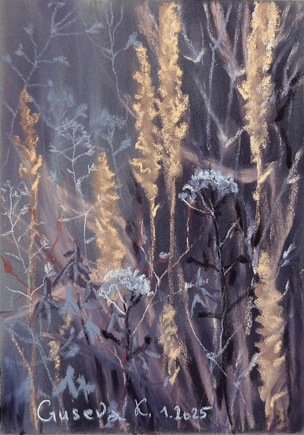 Meadow grasses Kateryna Husieva