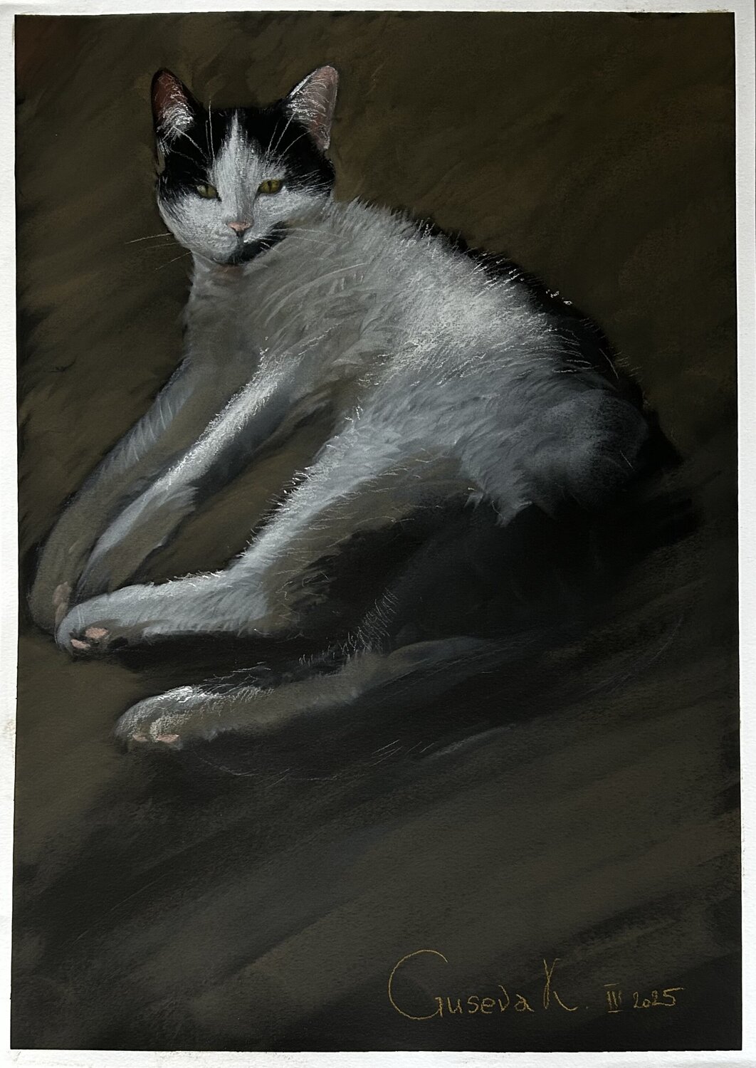 Domestic cat Kateryna Husieva