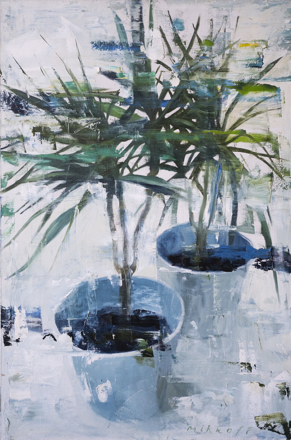 Dracaena. Mikhail Mishinskii