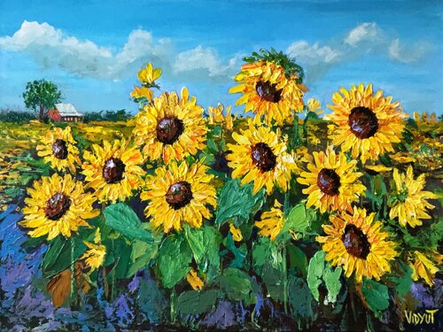 Dancing with the Sun vidyut Singhal