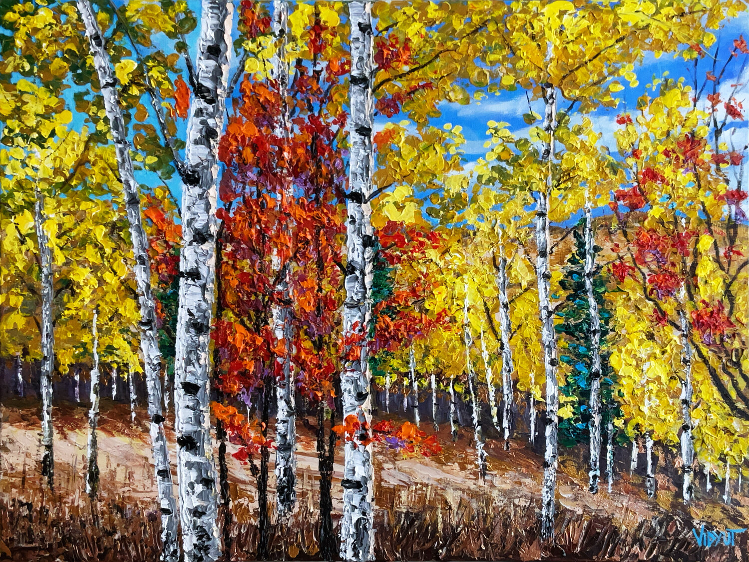 Autumn is Here vidyut Singhal