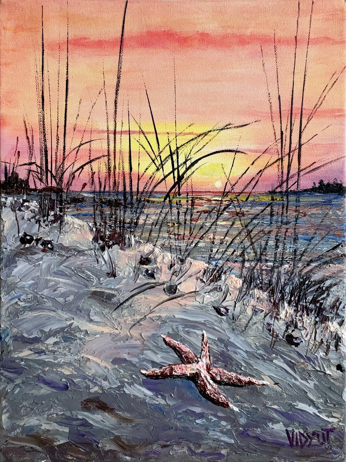 Golden Sunset and glorious star vidyut Singhal