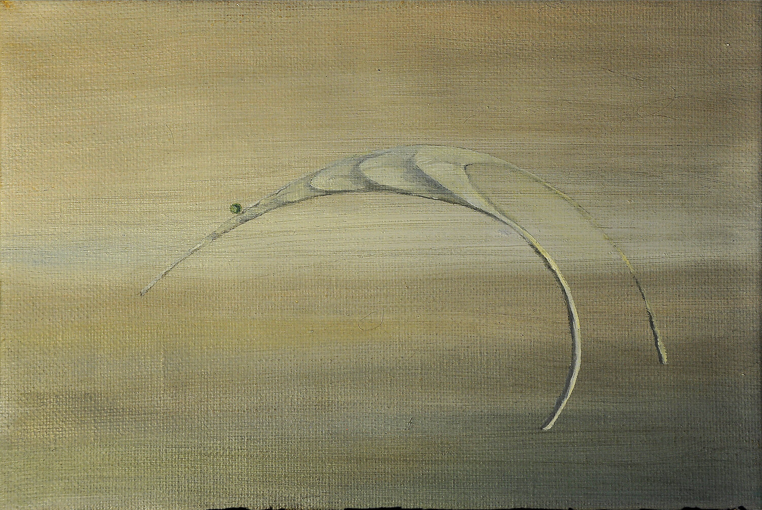 P16 Alexander Chalovsky