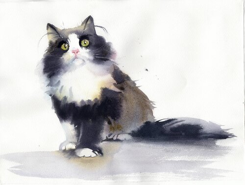 The cat by Alla Prisacar, 油畫 for Sale on Singulart