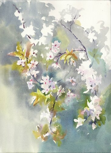 Cherry blossoms by Alla Prisacar, Painting for Sale on Singulart