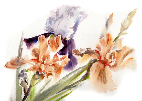 Irises in watercolor. von Alla Prisacar, Malerei kaufen auf Singulart