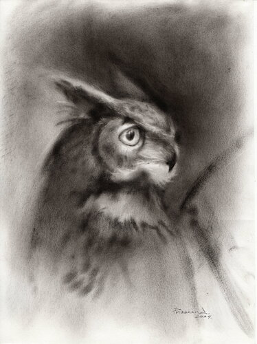 Owl in black and white. von Alla Prisacar, Zeichnungen kaufen auf Singulart