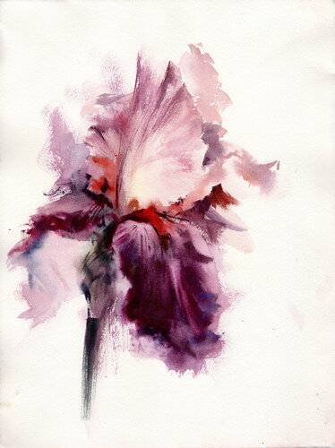 The exclusive iris. by Alla Prisacar, 油畫 for Sale on Singulart