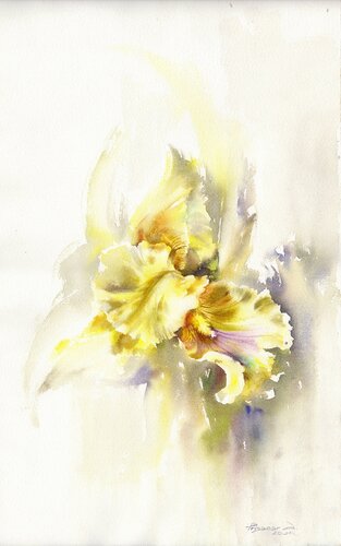 Incredible yellow iris van Alla Prisacar, Schilderij te koop op Singulart