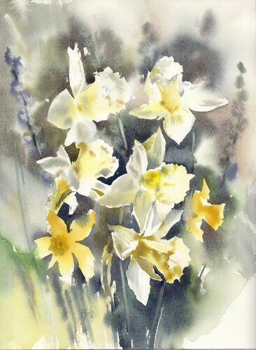 Fresh daffodils by Alla Prisacar, Painting for Sale on Singulart