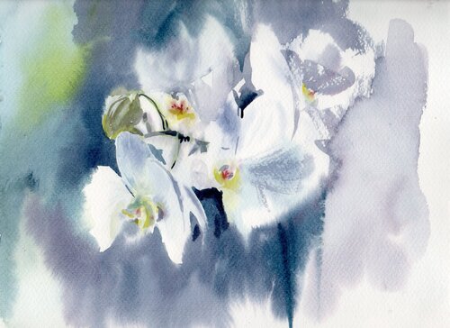 The white orchid van Alla Prisacar, Schilderij te koop op Singulart