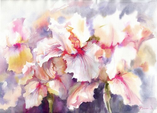 White Irises with pink and blue. von Alla Prisacar, Werk auf Papier kaufen auf Singulart