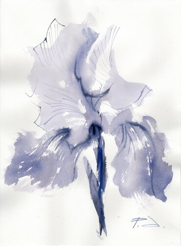 Calligraphic irises. van Alla Prisacar, Werk op papier te koop op Singulart