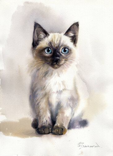 Cat with blue eyes by Alla Prisacar, 油畫 for Sale on Singulart