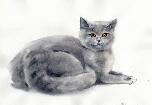 Nice gray cat by Alla Prisacar, Painting for Sale on Singulart