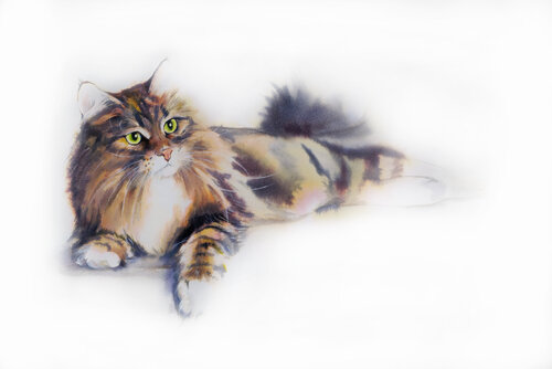 Cute cat van Alla Prisacar, Werk op papier te koop op Singulart