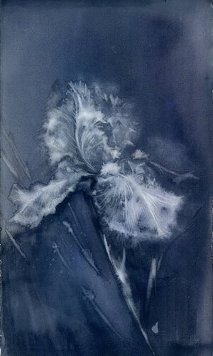 Night flower. Unique watercolor. von Alla Prisacar, Werk auf Papier kaufen auf Singulart