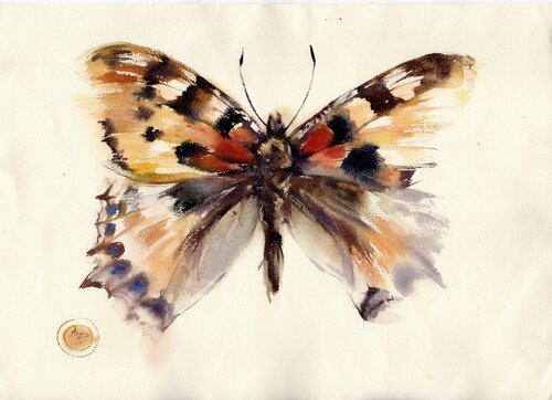 Watercolor butterfly by Alla Prisacar, 油畫 for Sale on Singulart