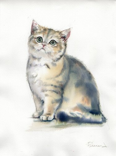 Sweet , sweet kitty van Alla Prisacar, Schilderij te koop op Singulart