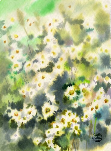 The field of chamomile di Alla Prisacar, Opera su carta in vendita su Singulart