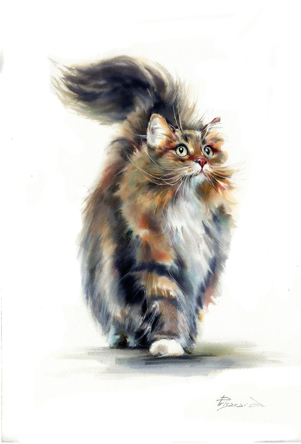 Beautiful kitty Alla Prisacar