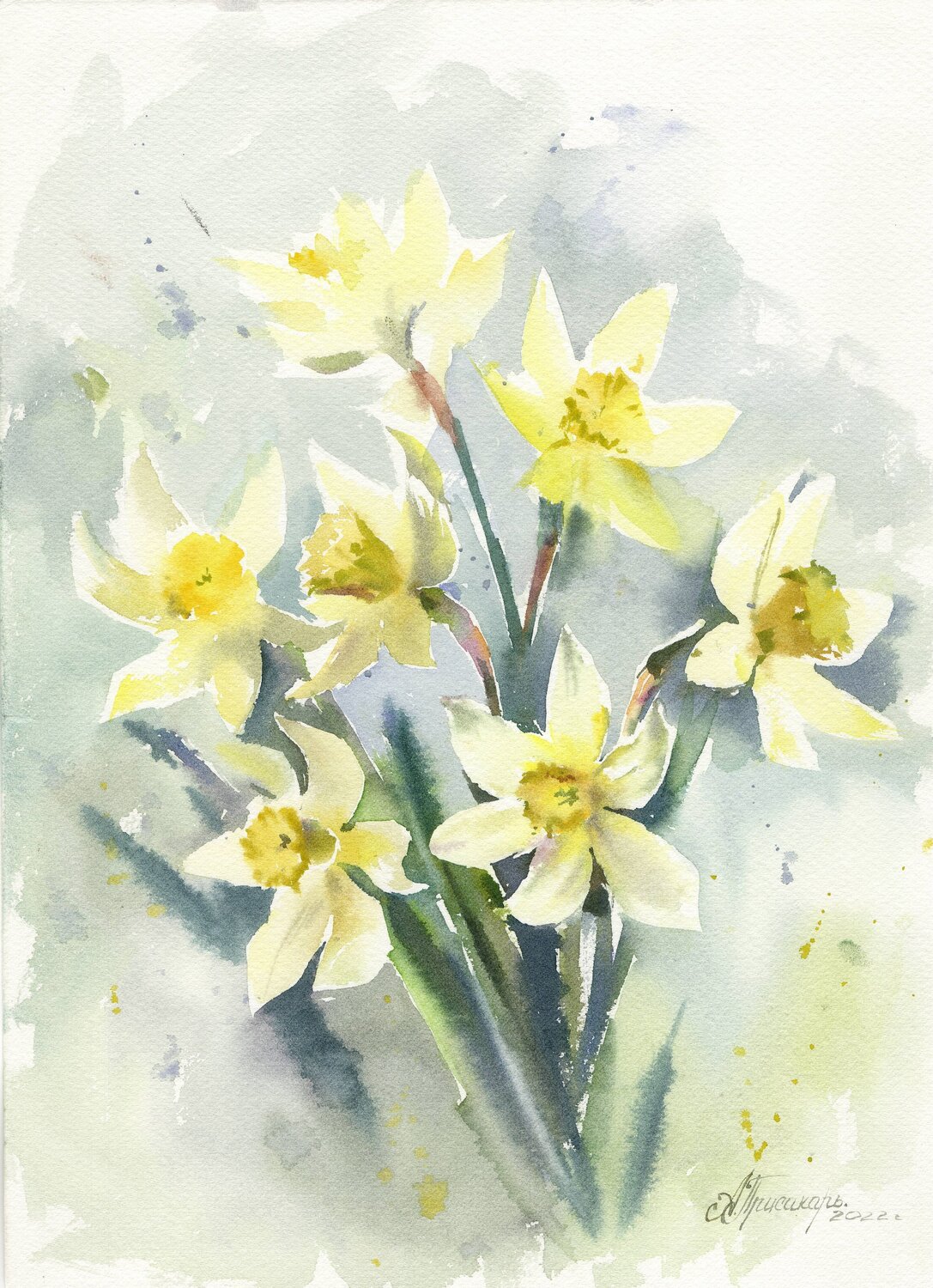 Beautiful daffodils. Alla Prisacar