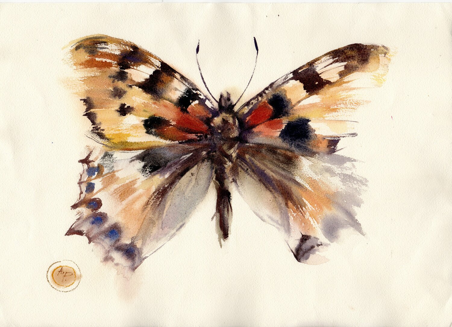 Watercolor butterfly Alla Prisacar