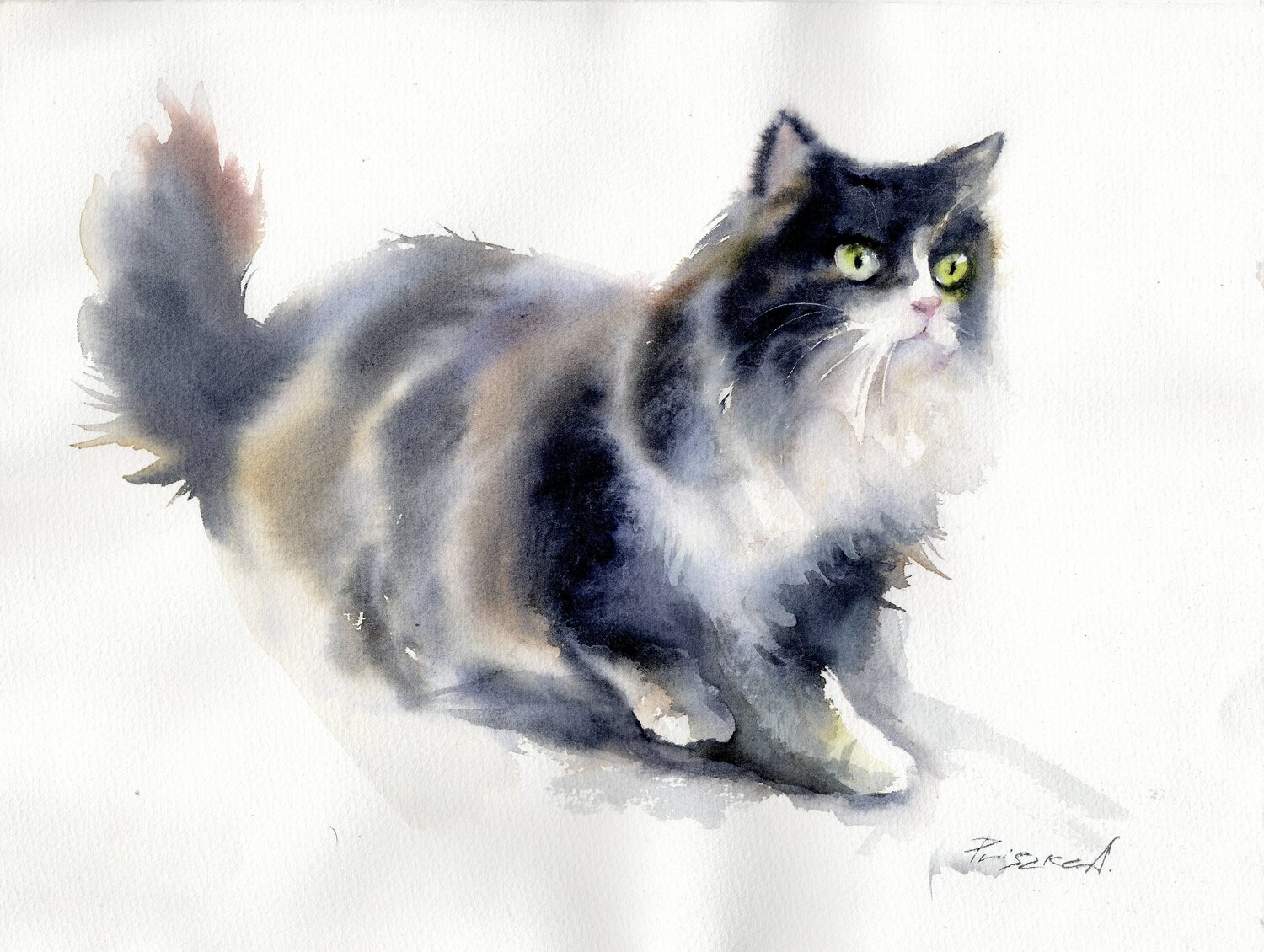 Kitty Alla Prisacar