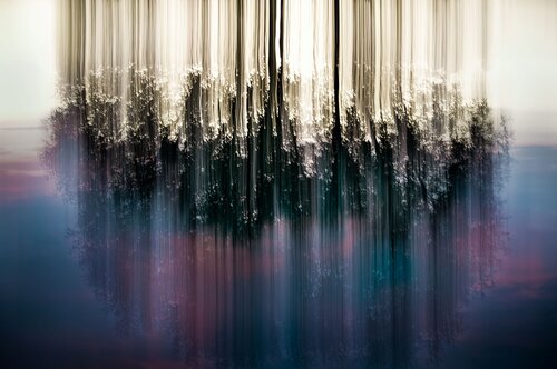 GOLDRUSH van Johann S. Walther, Fotografie te koop op Singulart