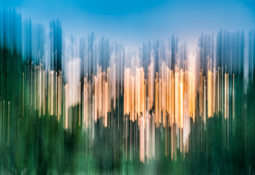 GOLDRUSH 2 van Johann S. Walther, Fotografie te koop op Singulart