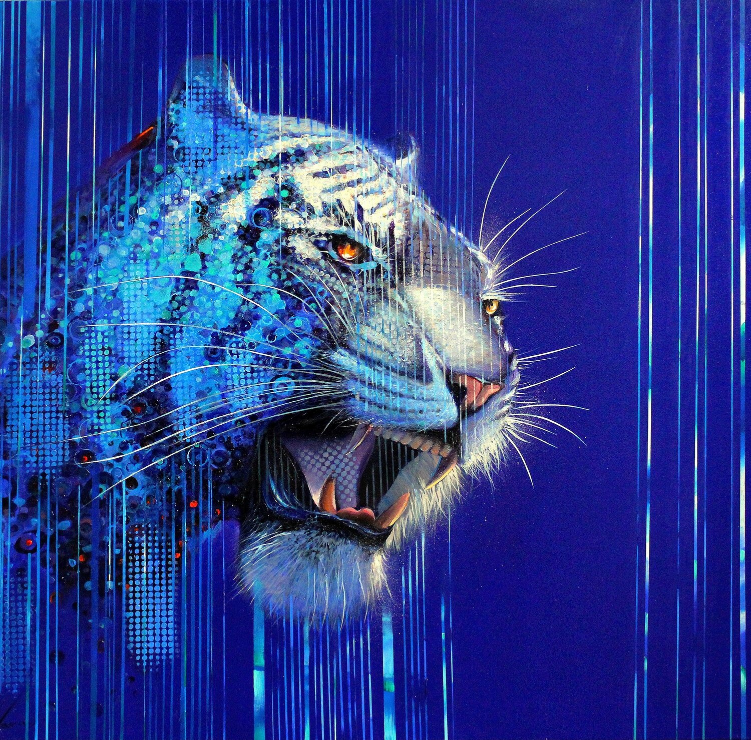 RALE DE TIGRE MARIUS ZABINSKI