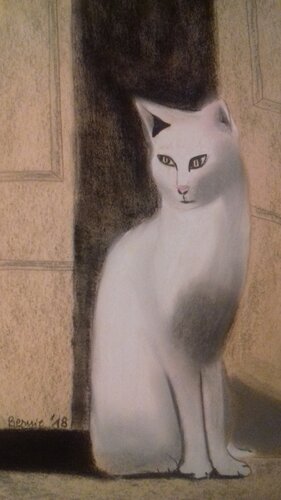 Il gatto bianco di BERNARDO BANDINELLI, Disegno in vendita su Singulart