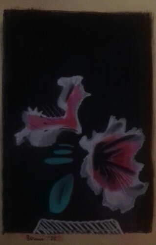 Rododendri by BERNARDO BANDINELLI, 소묘 for Sale on Singulart