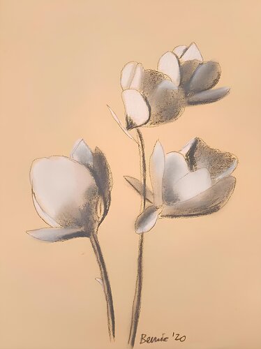 Anemoni by BERNARDO BANDINELLI, 소묘 for Sale on Singulart