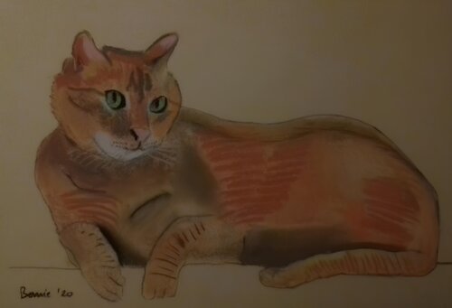 Il gatto rosso van BERNARDO BANDINELLI, Tekening te koop op Singulart